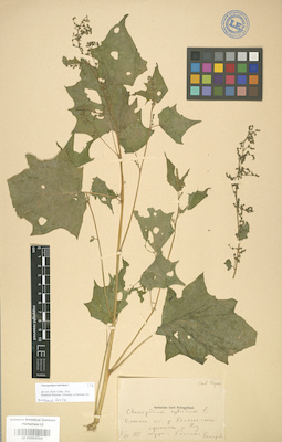 LE 01003714