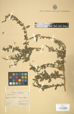LE 01003715