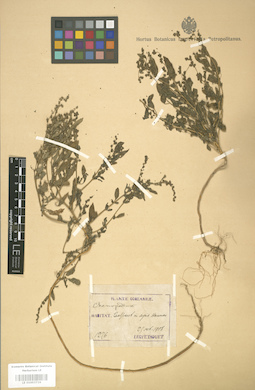 LE 01003716
