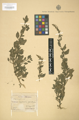 LE 01003718