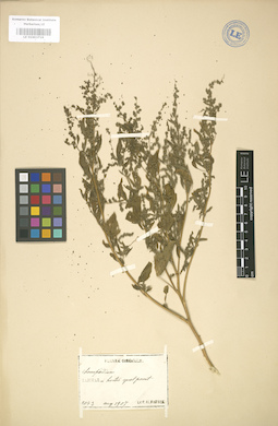 LE 01003719