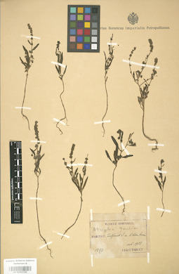LE 01003720