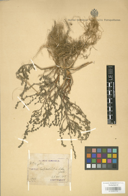 LE 01003722