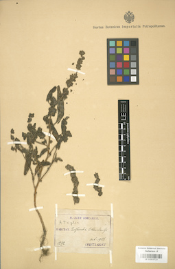 LE 01003723