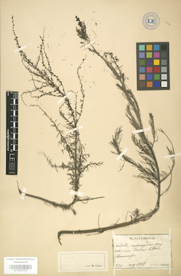 LE 01003727