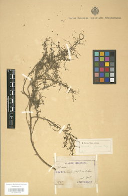 LE 01003729