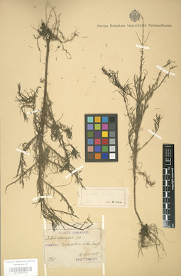 LE 01003730
