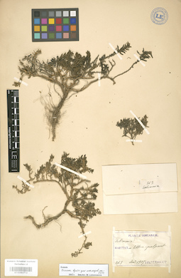LE 01003732
