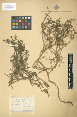 LE 01003738