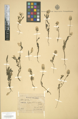 LE 01003741