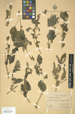 LE 01003743
