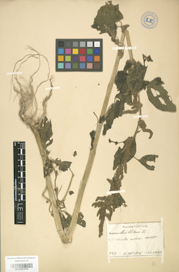 LE 01003744