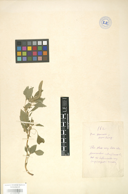LE 01003745
