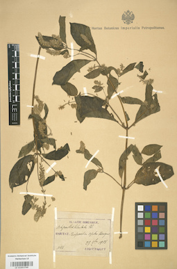 LE 01003749
