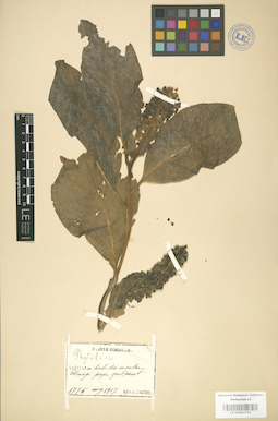 LE 01003754