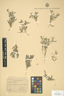 LE 01003755