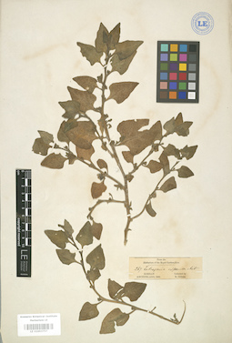 LE 01003757