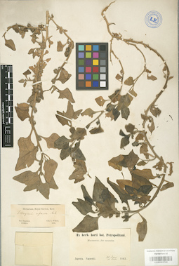 LE 01003760