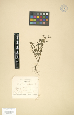 LE 01003763
