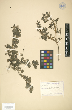 LE 01003764