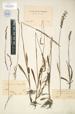 LE 01003765