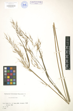 LE 01003766