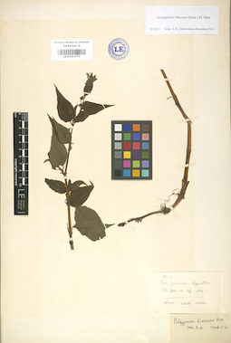 LE 01003772