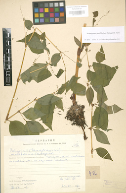 LE 01003773