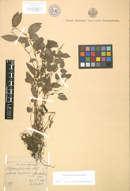 LE 01003789