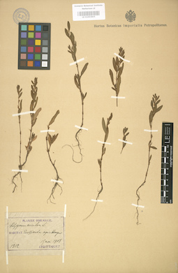 LE 01003805
