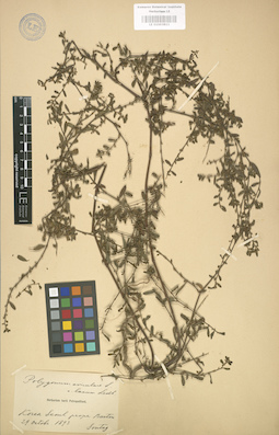 LE 01003811