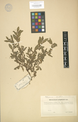 LE 01003813