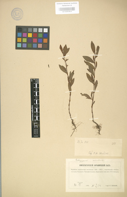 LE 01003814