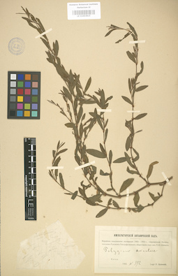 LE 01003815