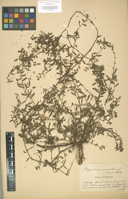 LE 01003816