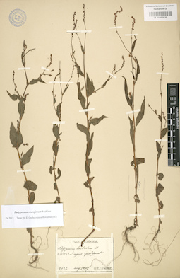 LE 01003820