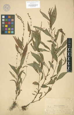 LE 01003845