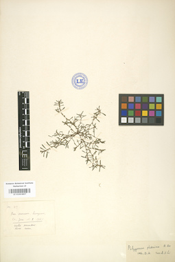 LE 01003857