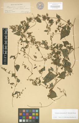 LE 01003862