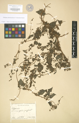 LE 01003865