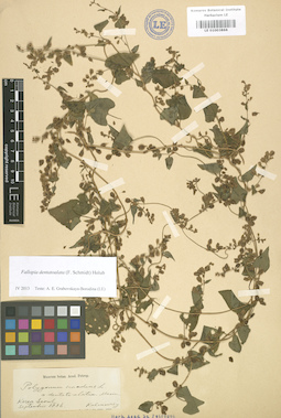 LE 01003866