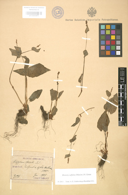 LE 01003875