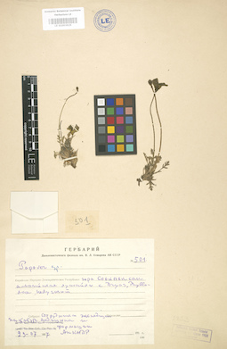 LE 01003925