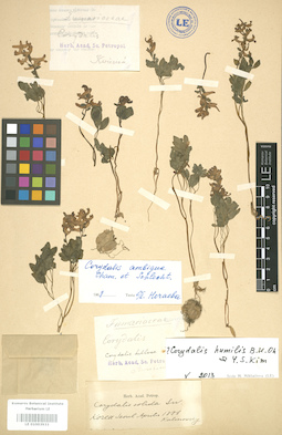 LE 01003933