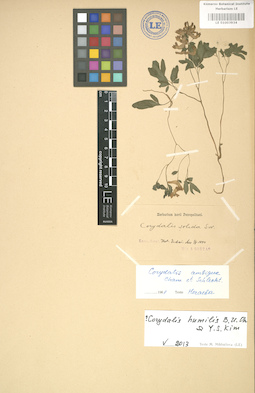 LE 01003934