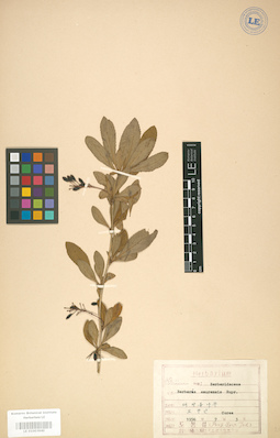 LE 01003940