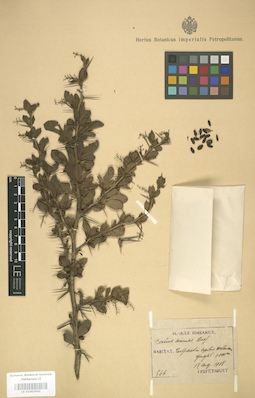 LE 01003941