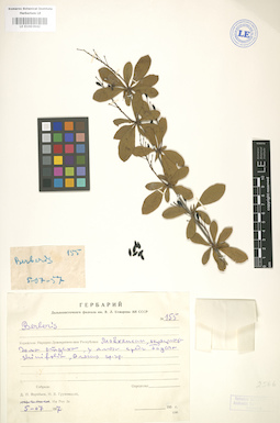 LE 01003942