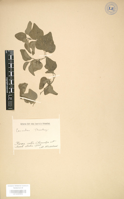 LE 01003956