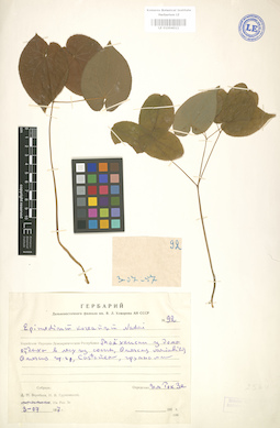 LE 01004011
